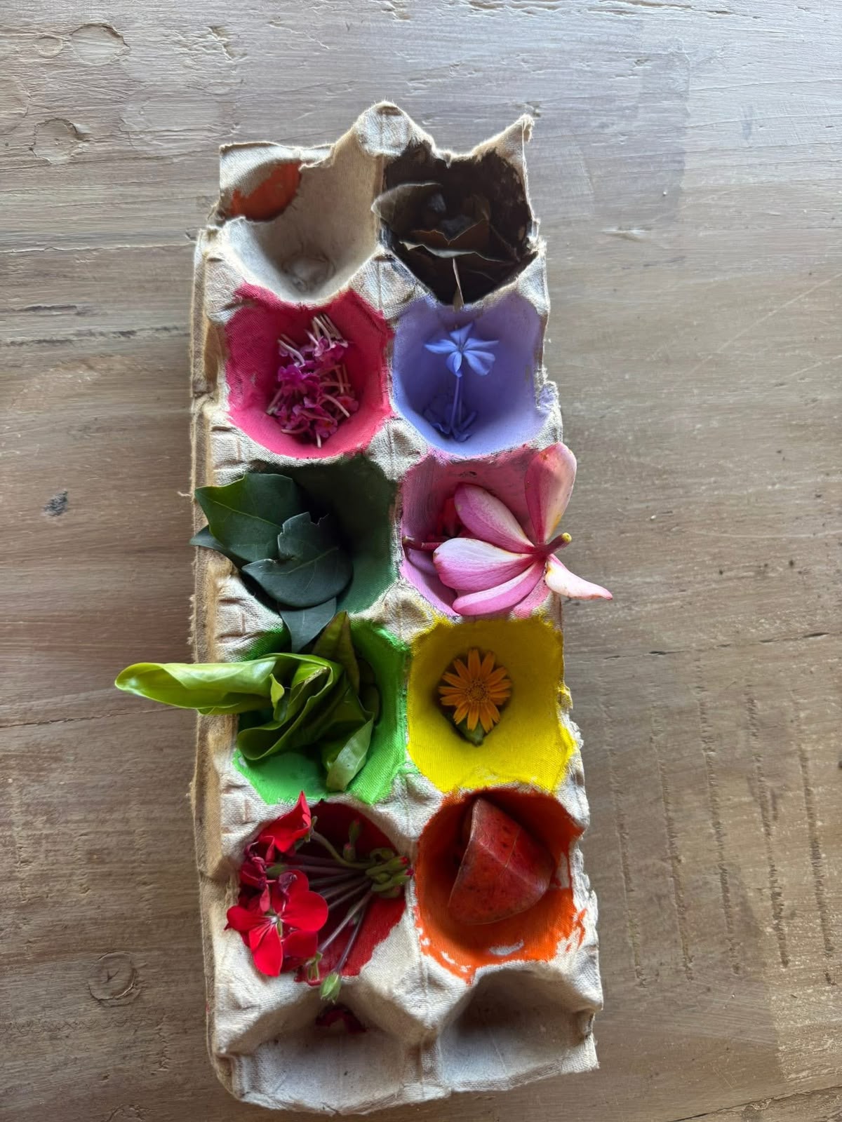 Colourful clay flowers made by children at pony camp