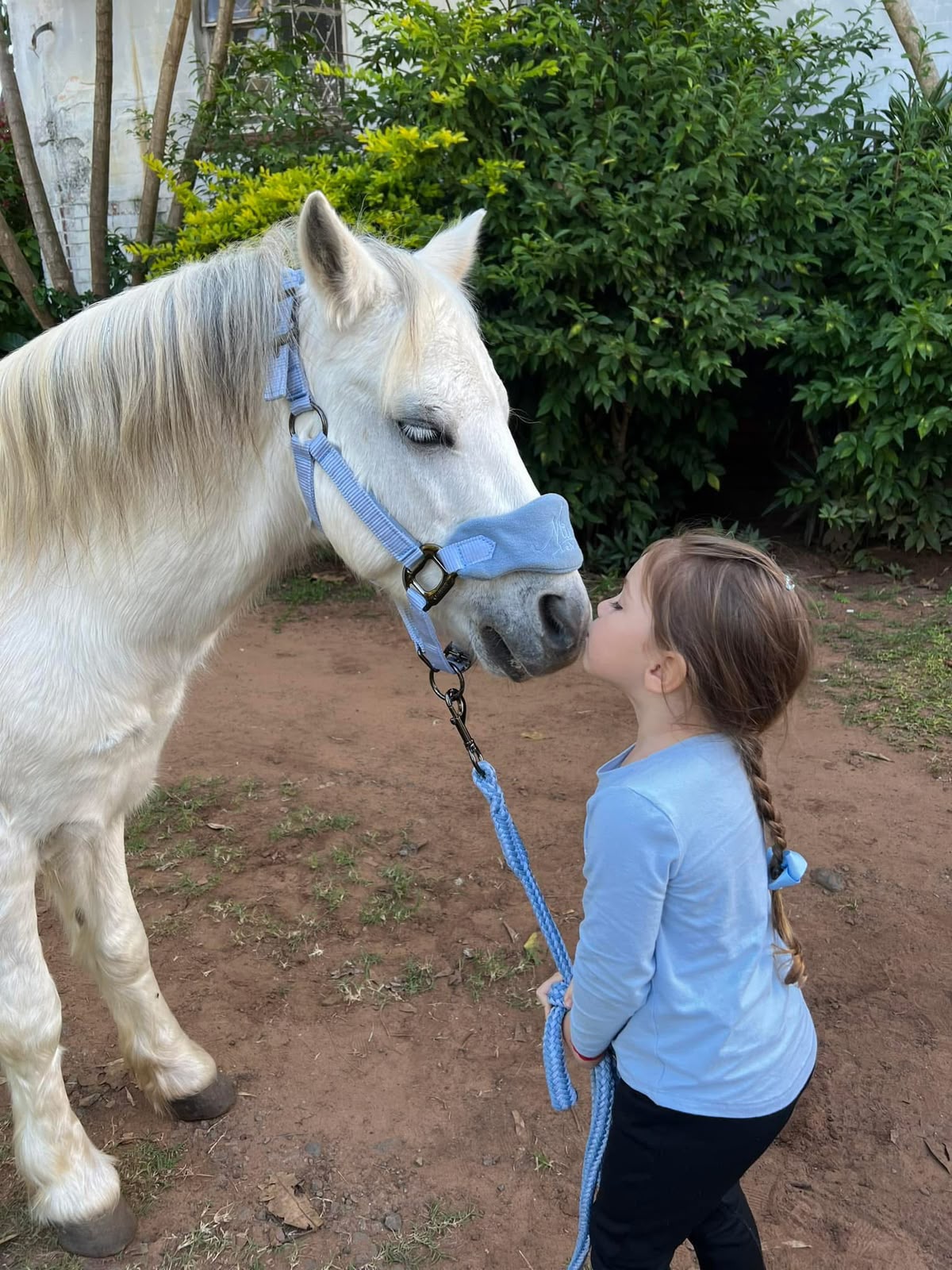 A child sharing a gentle moment nose-to-nose with a white pony